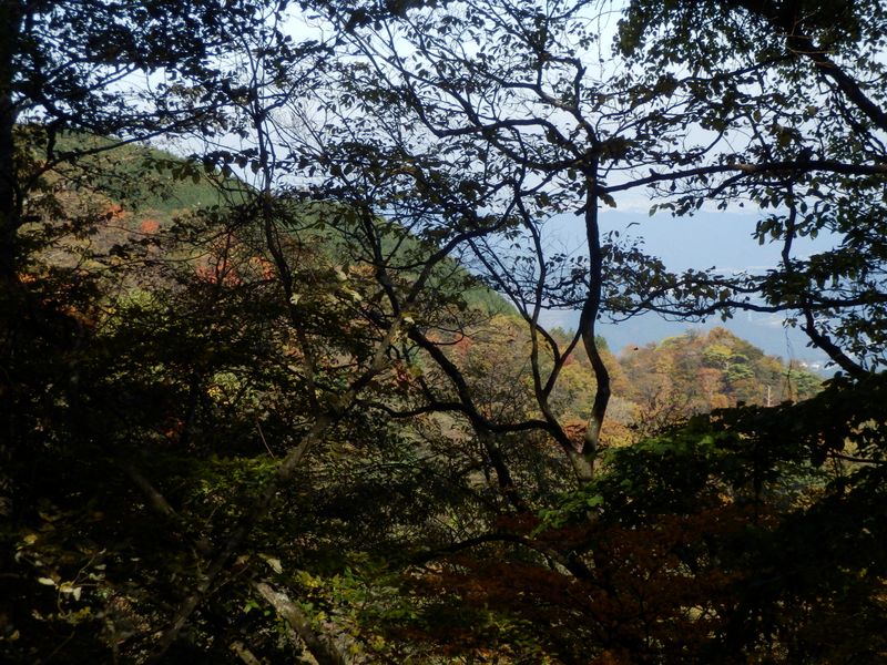 音見沢左岸尾根もきれい