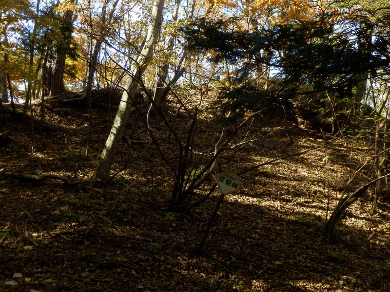 東海自然歩道を横断