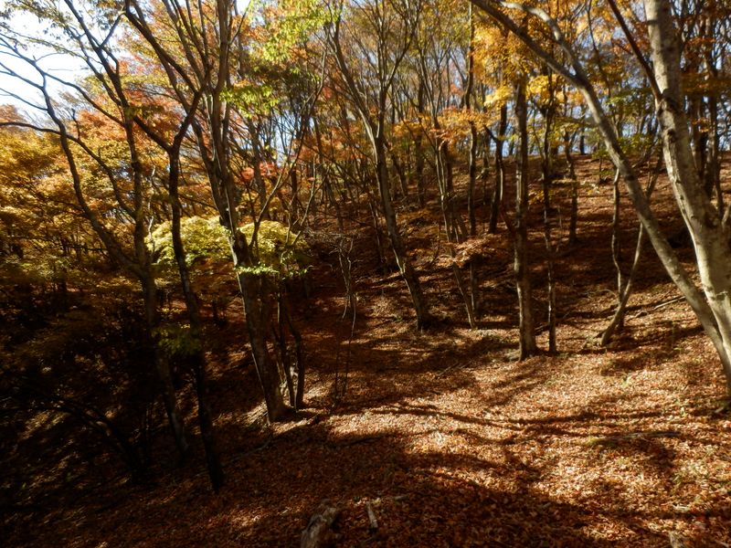 平丸分岐に向かう