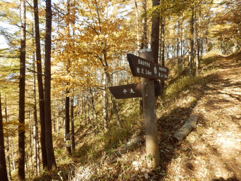 平丸分岐