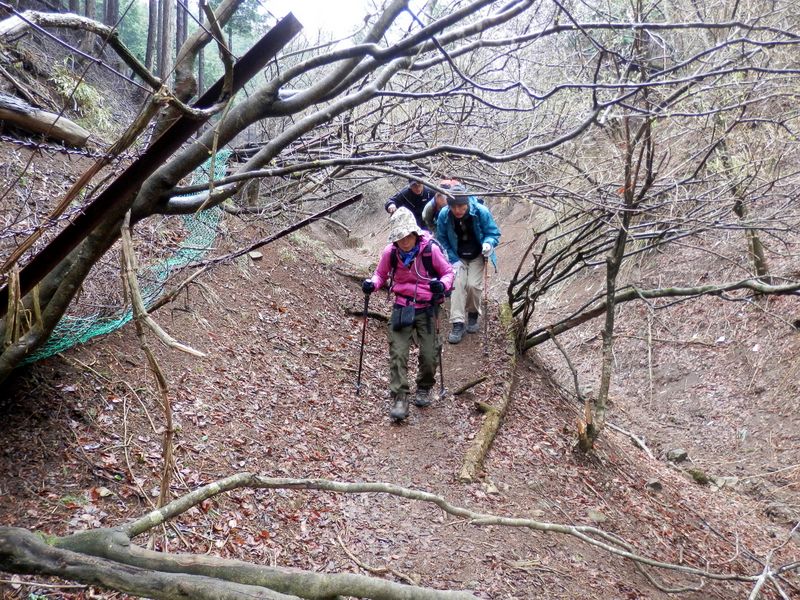 ヤビツ峠より、門戸口へ向かう道