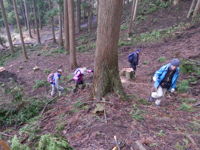 ヨモギ平を目指して、さあ登ろう