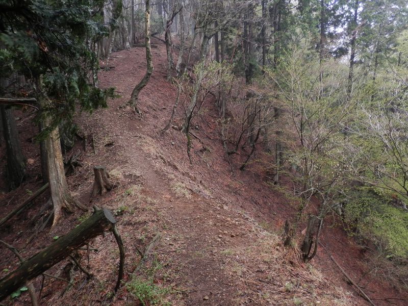 これよりヨモギ尾根上を歩く