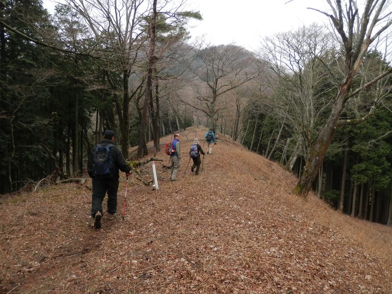 ヨモギ平を後に、三ノ塔に向かう
