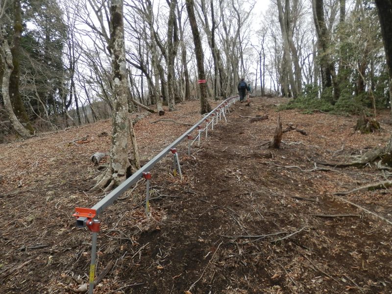 真新しいモノレール