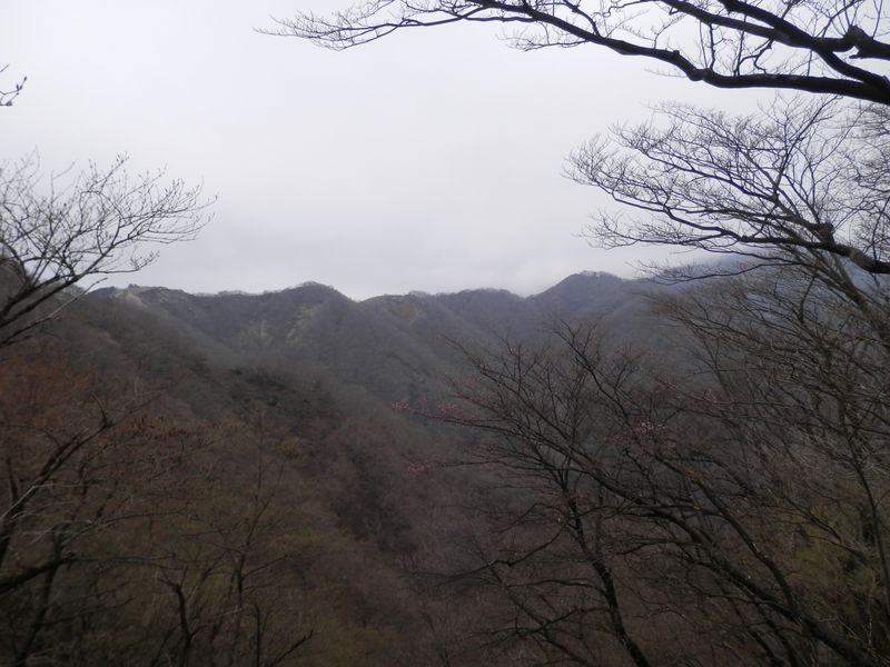 ヨモギ尾根より、表尾根を望む