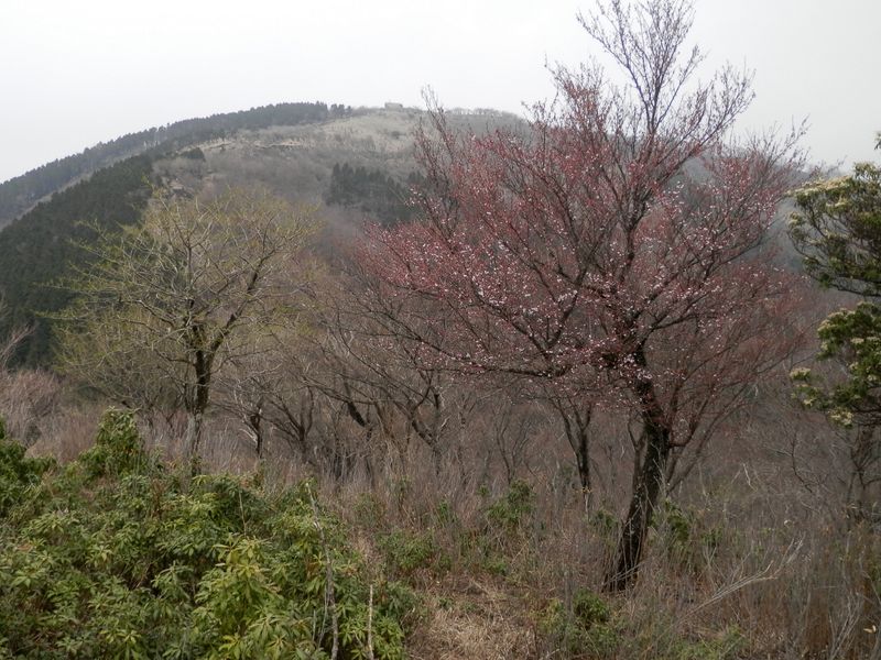 二ノ塔より、三ノ塔を振り返る