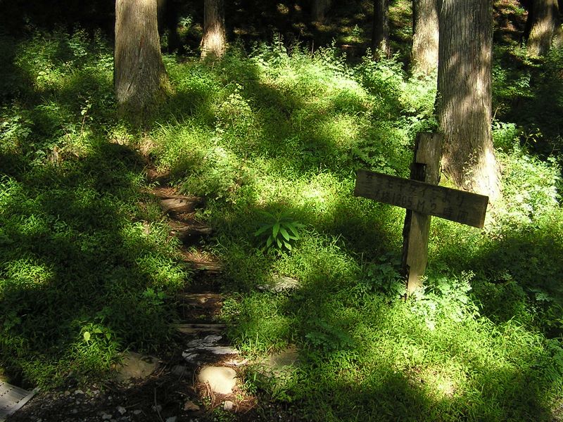 ヨモギ平・三ノ塔 -- 三ノ塔登山口