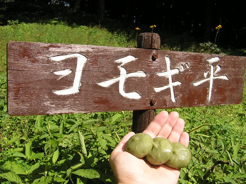 ヨモギ平・三ノ塔 -- ヨモギもちを食べる