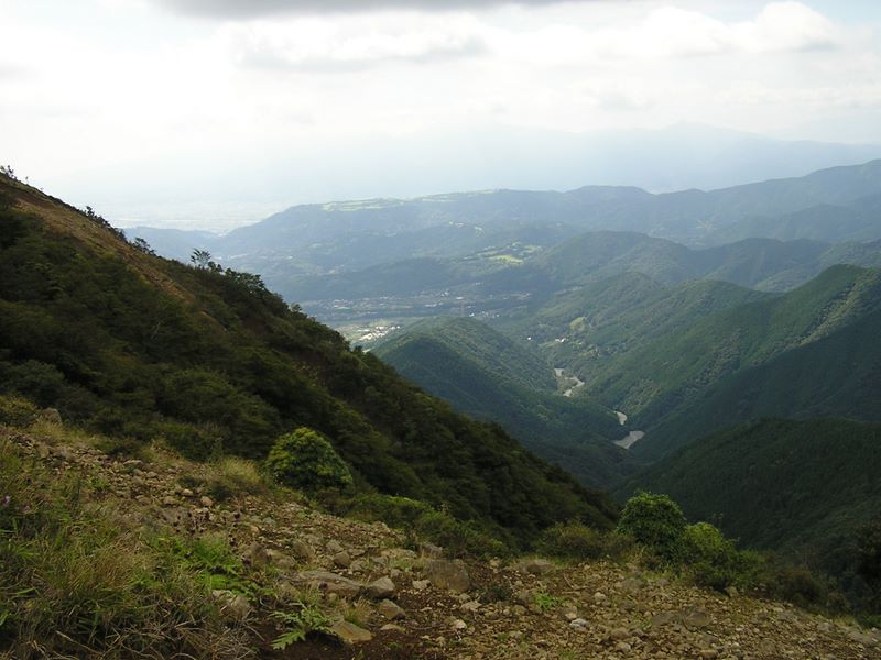 p9183392.jpg (large)