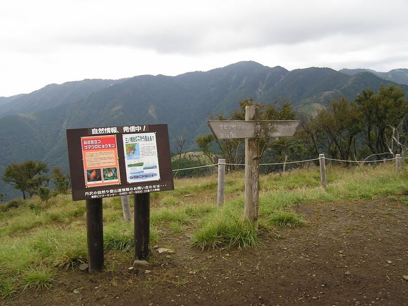 ヨモギ平・三ノ塔 -- 三ノ塔山頂より、塔ノ岳を望む