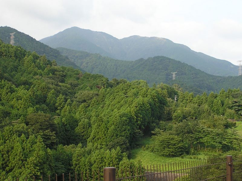 ヨモギ平・三ノ塔 -- 風の吊橋から三ノ塔（左）と二ノ塔（中央）を望む