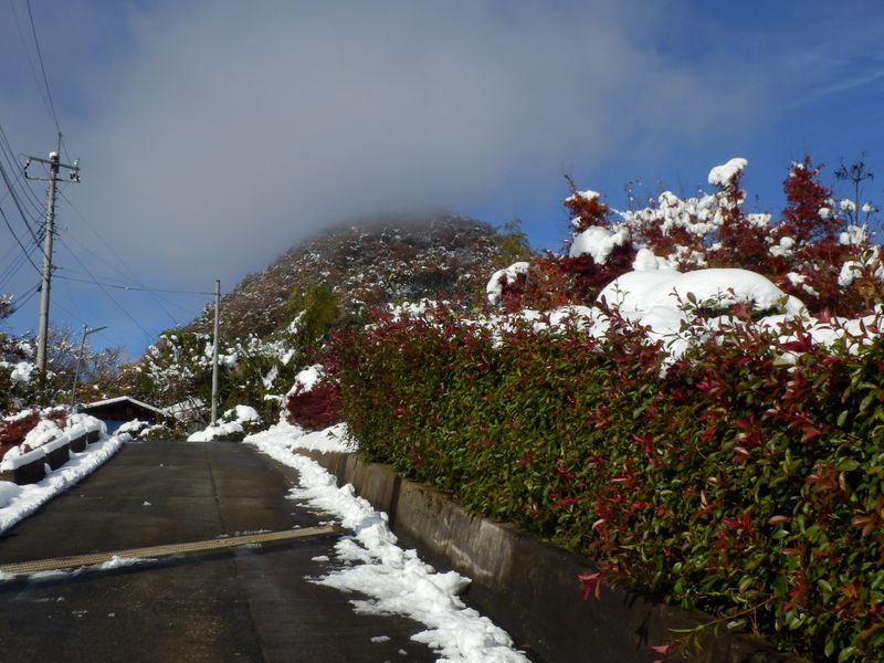 要害山頂は相変わらずガスの中
