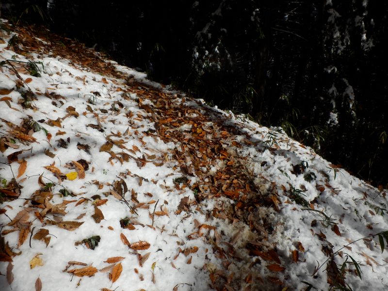 ぬかるみを脱出