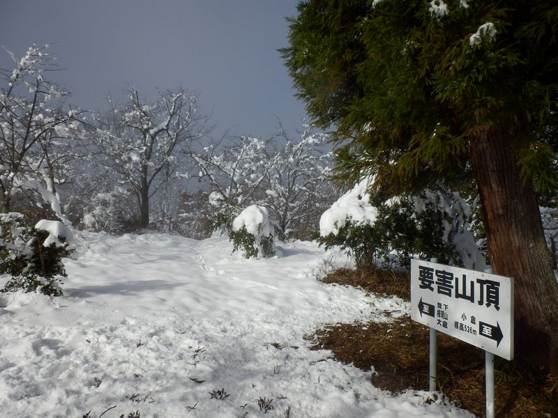 要害山頂のガスと日差し
