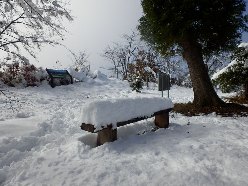要害山 -- ベンチの積雪