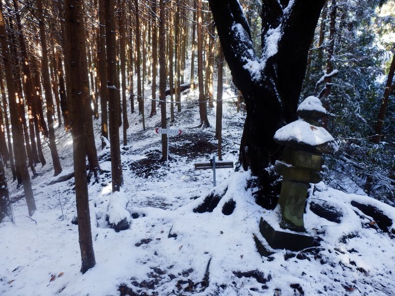 十字路にやって来た