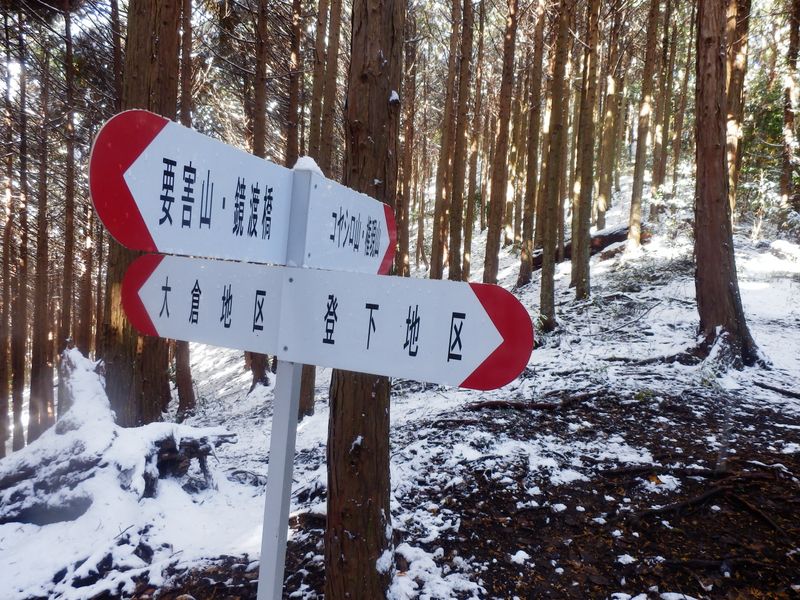 コヤシロ山めざし直進