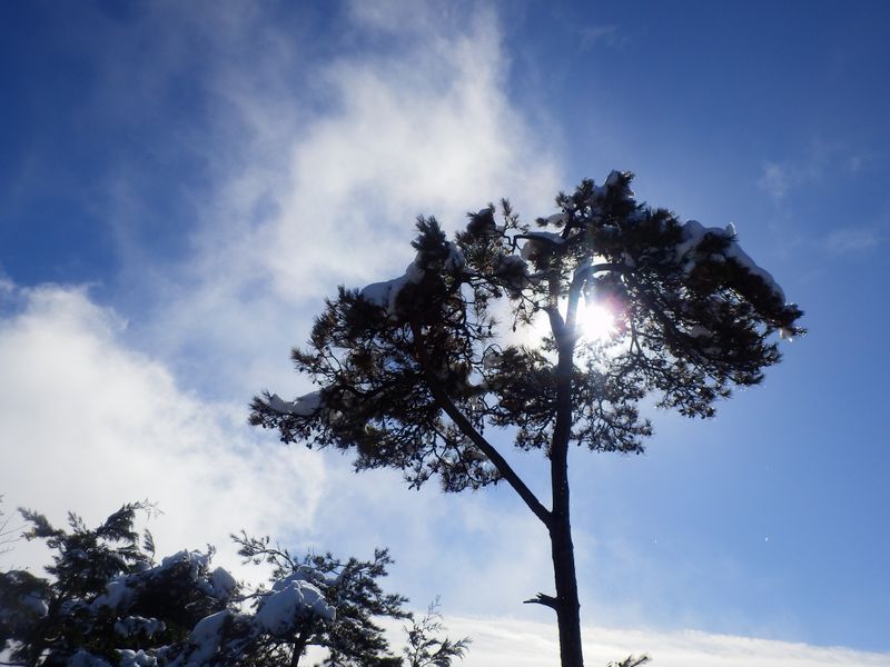 ガスが晴れて来た