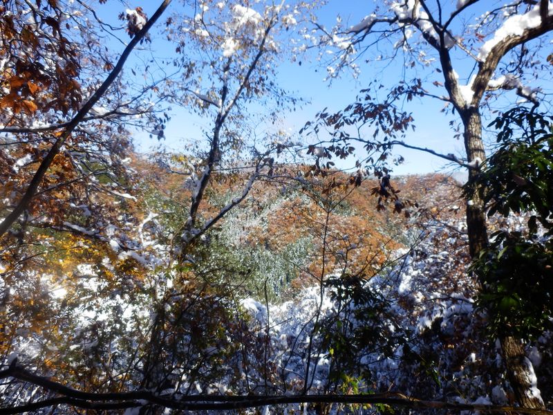 右手の山々の紅葉がきれい