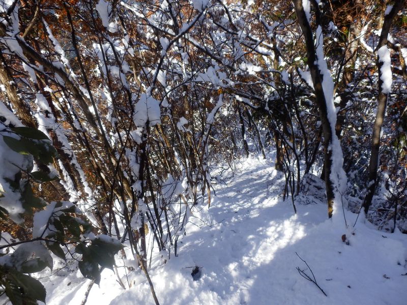 急な下りでは滑らないように