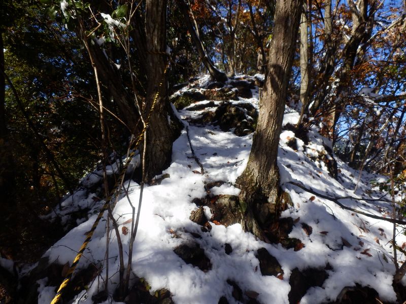 急な登りにあったトラロープ