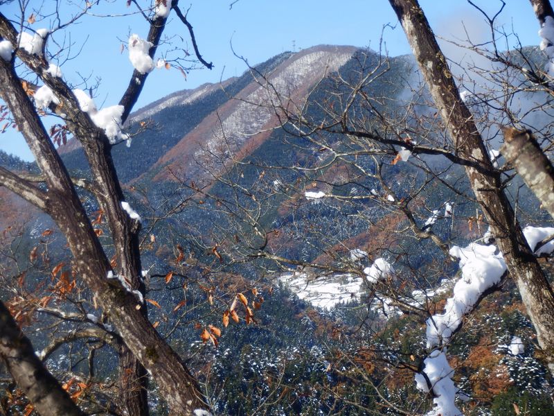 雨降山と権現山