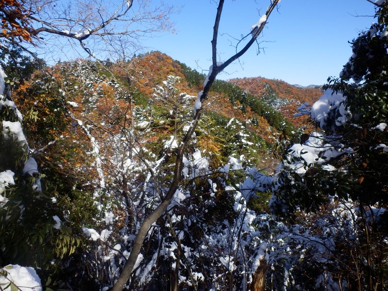 行く手のコヤシロ山