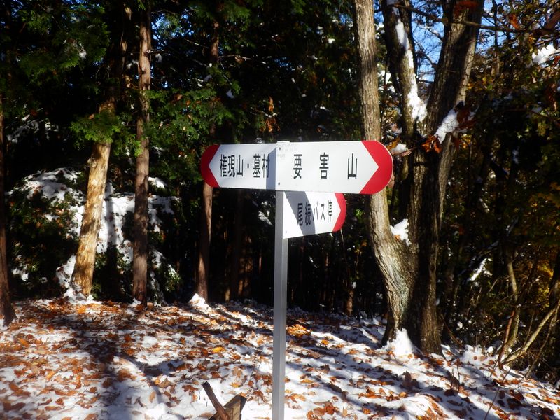 コヤシロ山に到着