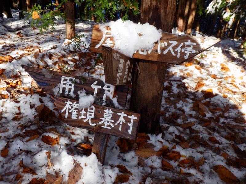 墓村経由、用竹を目指す