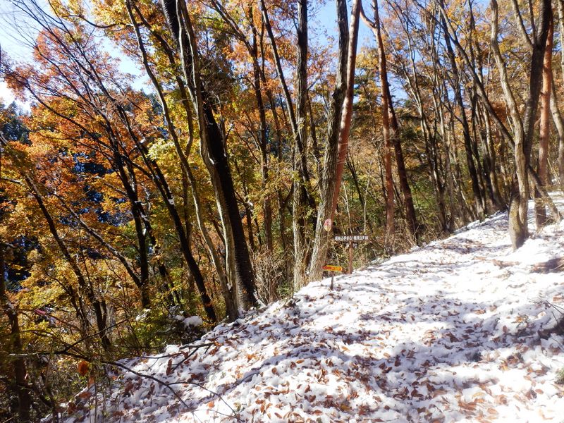 名残を惜しみつつ、墓村に向かう