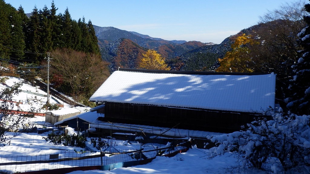 雪景色には秋の色も