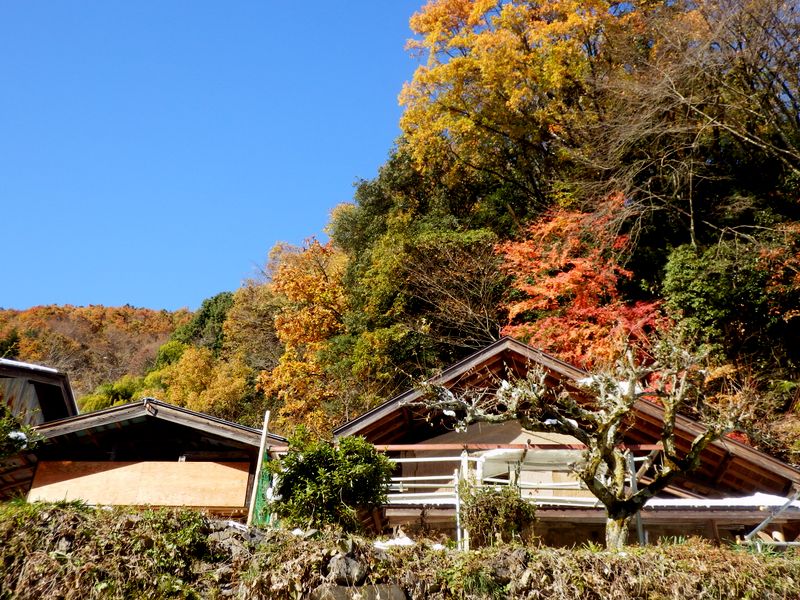 日当たりのよさそうな家