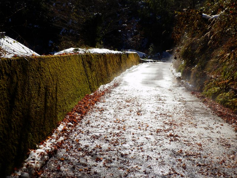 道から立ち昇る水蒸気