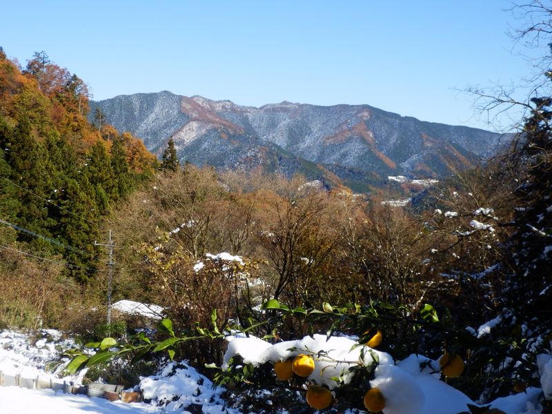 笹尾根を望む。中央の鋭峰が茅丸か。