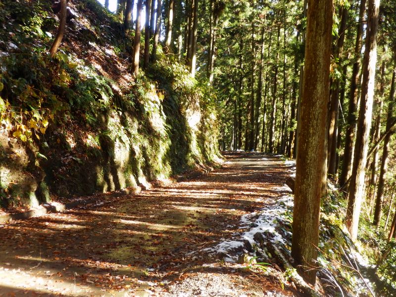 用竹への下り道