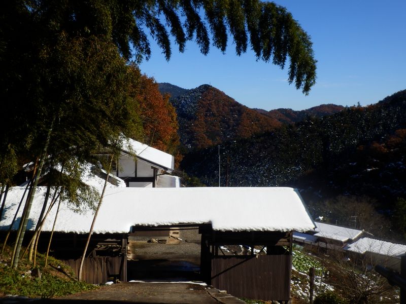 聖武連山が絵になった