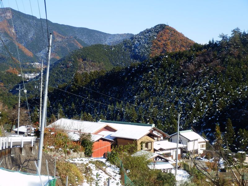 聖武連山が競り上がる