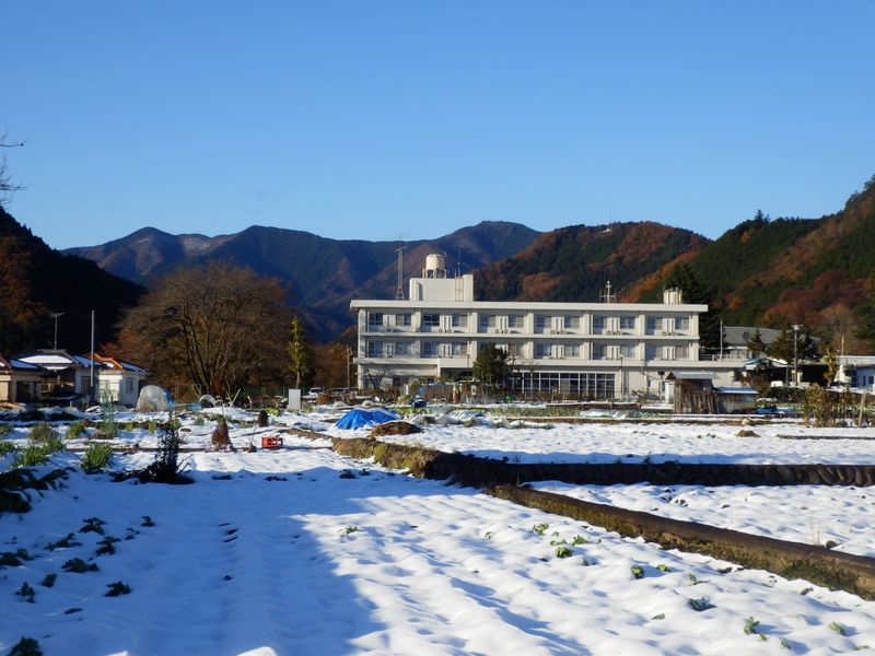 pb250556.jpg (large)