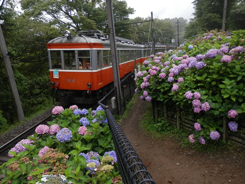 登山電車のこのヘッデンが最も好き