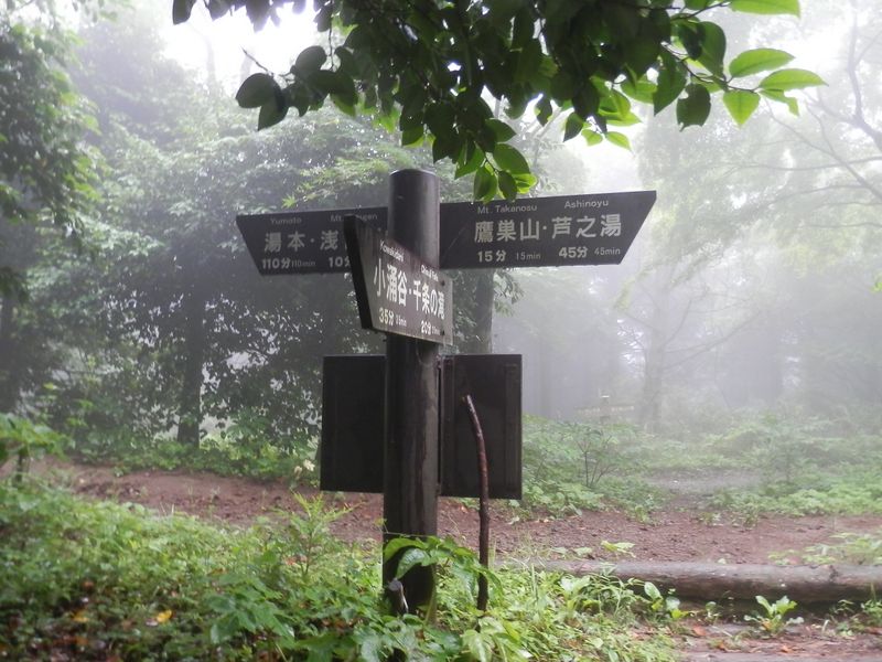 まず右手の鷹巣山に行く