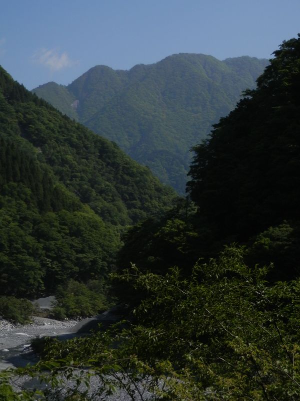 玄倉林道より、石棚山稜を望む