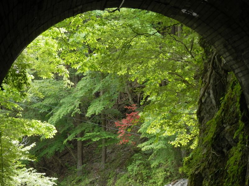 第八号隧道の出口