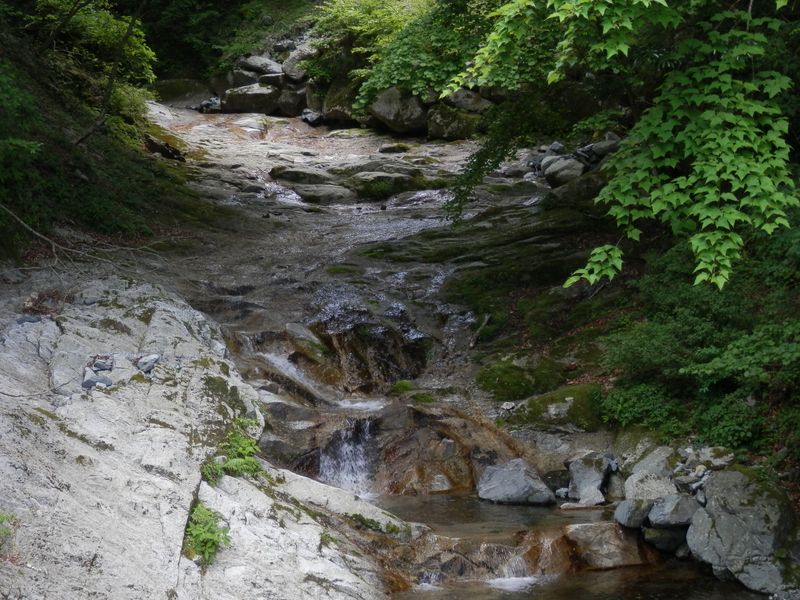 岩をなめるように流れていた雨山沢