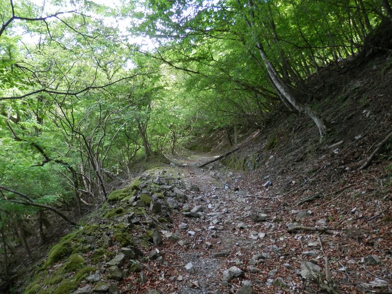玄倉林道は、熊木沢出合から先で荒れていた