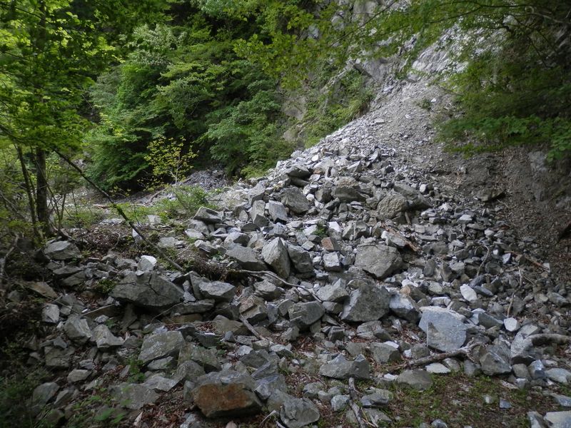 崩落が林道を塞いでいる