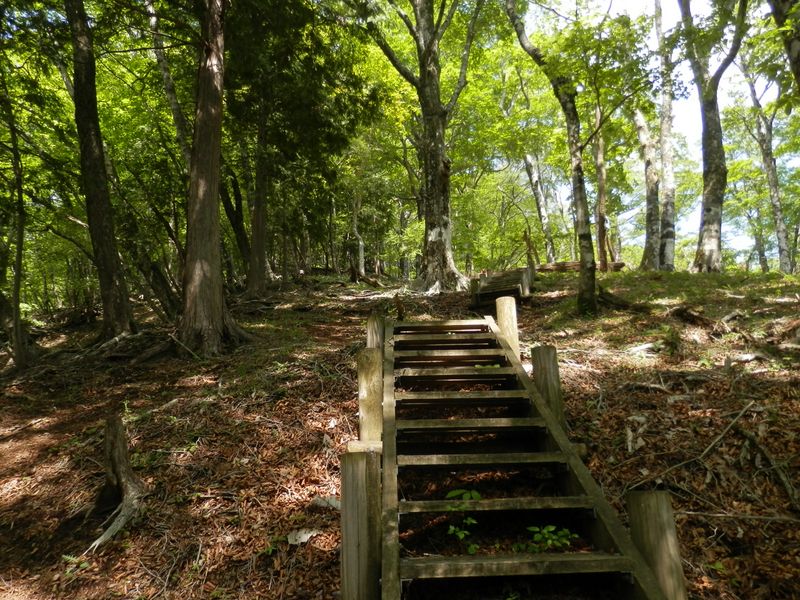 木製階段が多かった