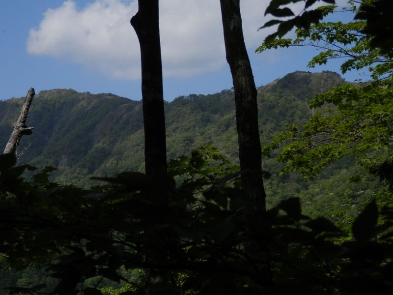 竜ヶ馬場から日高にかけての稜線