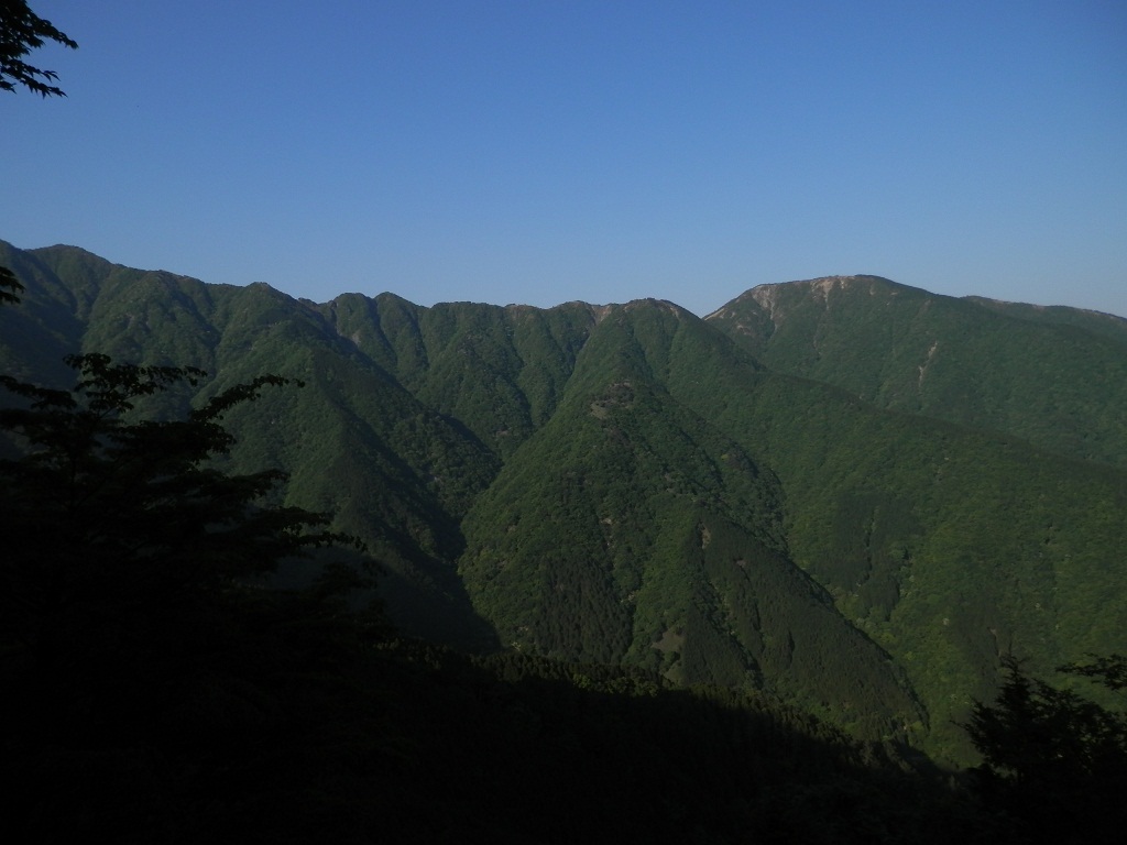 大倉尾根より、表尾根を望む