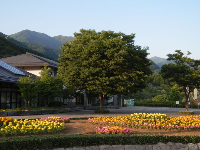 大倉より、三ノ塔、二ノ塔、大山を望む